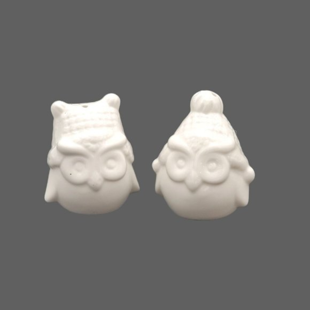 White Owl Ceramic Salt and Pepper Shaker Set Woodland Cabin‎ Holiday Winter 2 in